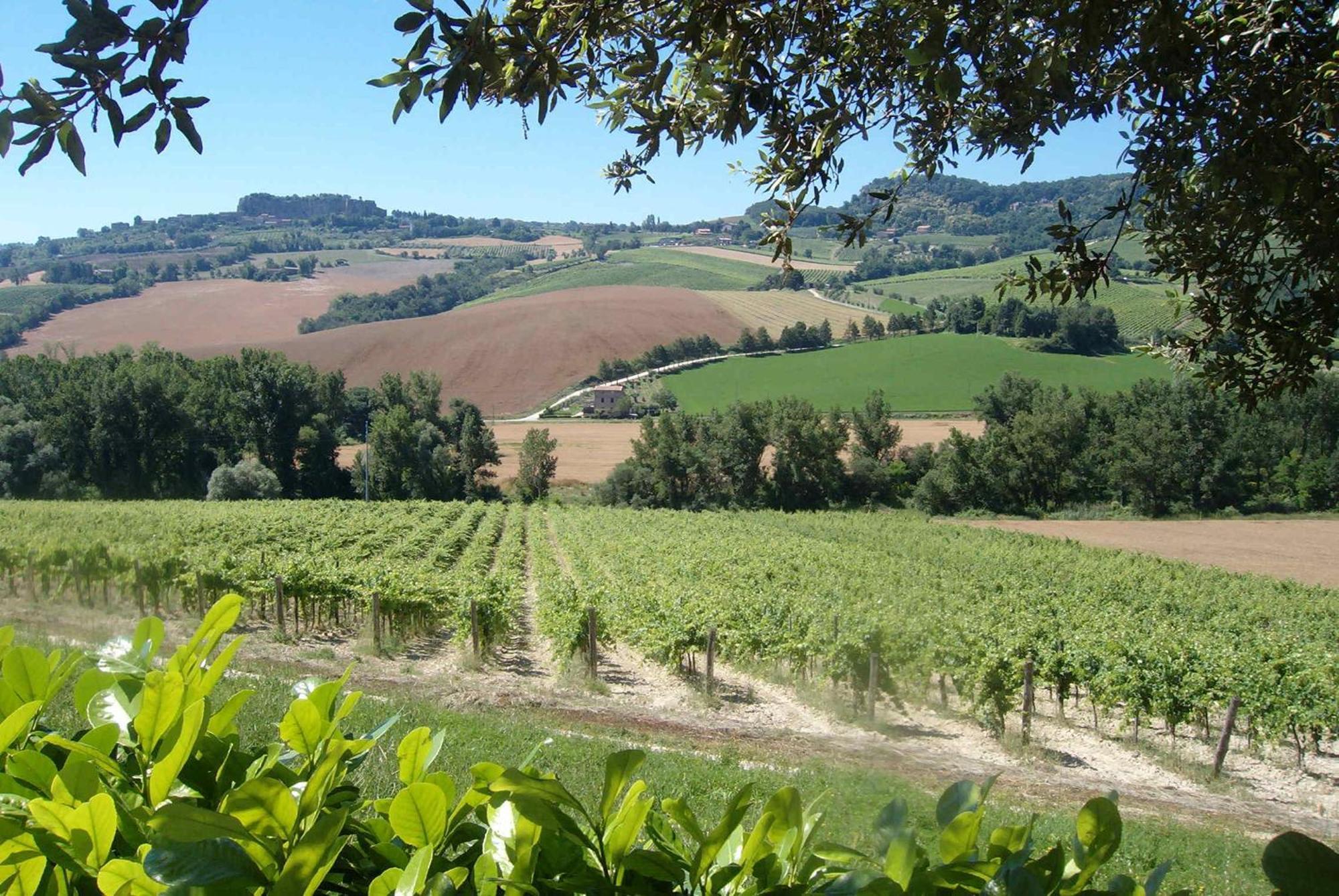 Agriturismo Cioccoleta Orvieto Exteriér fotografie