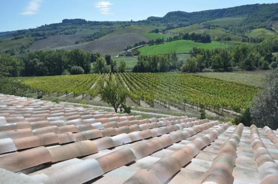 Agriturismo Cioccoleta Orvieto Exteriér fotografie